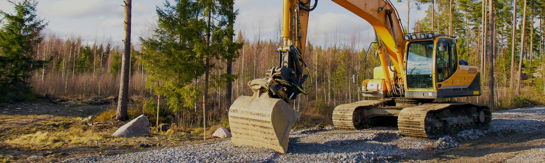 Heavy Machinery Excavator